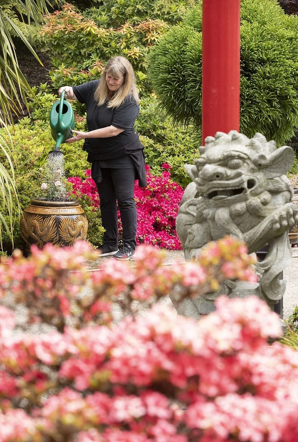 イギリス　日本庭園　和風庭園　ガーデニング