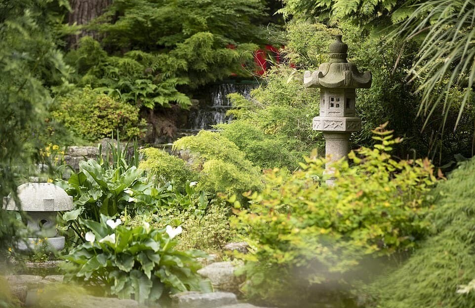 イギリス　日本庭園　和風庭園　ガーデニング