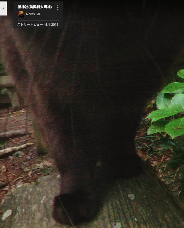 猫神社（美興利大明神）に関連した画像-06