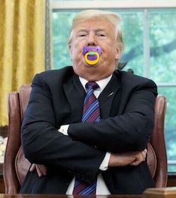 トランプ大統領　アメリカ　DiaperDon　おむつのトランプ　トレンド