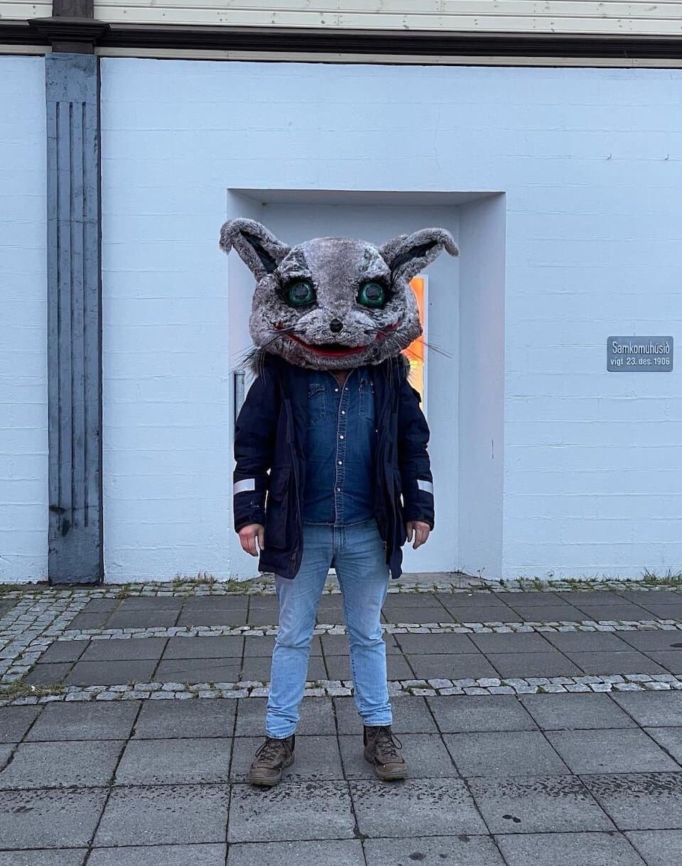 ネコ党　アイスランド　猫　Kattaframboðið
