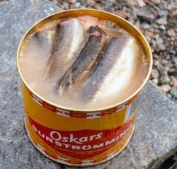 Surströmming