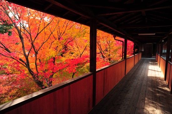 京都のお寺が次々と撮影禁止に関連した画像-11