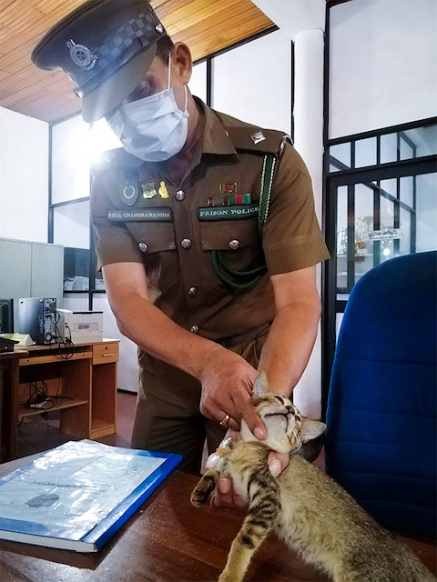 スリランカ　刑務所　薬物に関連した画像-03