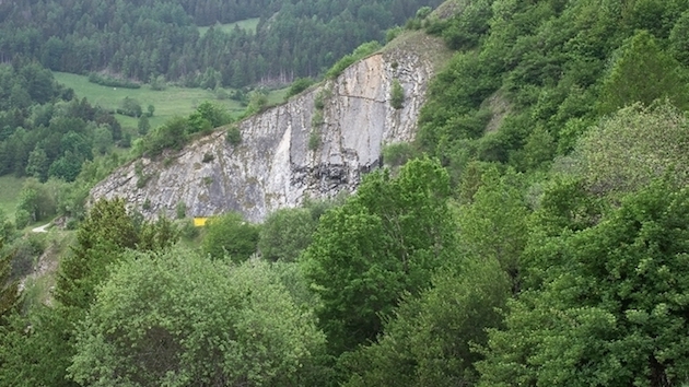 スイスで大量の牛が謎の集団自殺に関連した画像-02