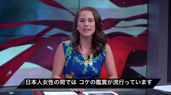 アメリカのテレビ番組で「コケを愛でる日本人」がバカにに関連した画像-02