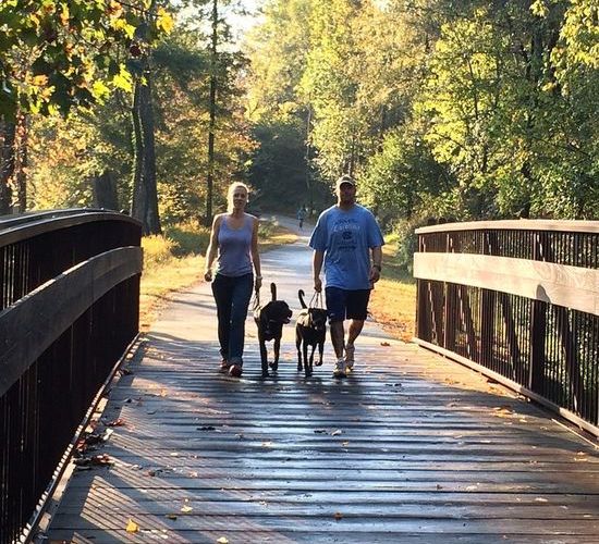 犬を飼うと分かる、その理想と現実に関連した画像-04