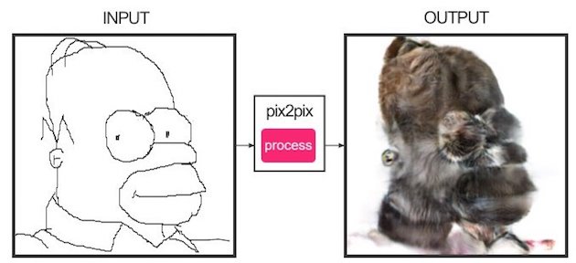 edges2catsに関連した画像-13