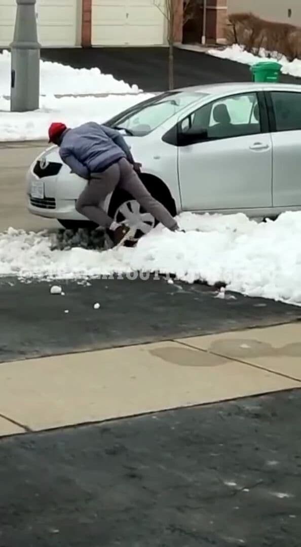 カナダ　泥棒　車