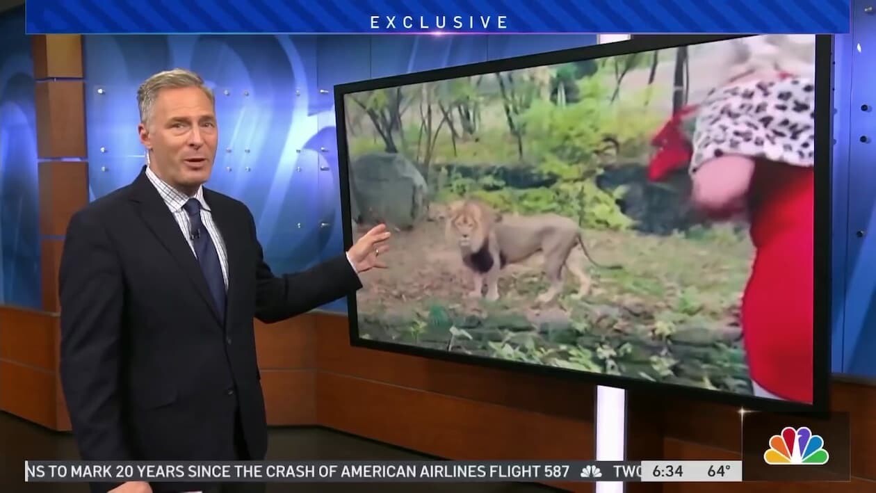 ブロンクス動物園　アメリカ　ライオン