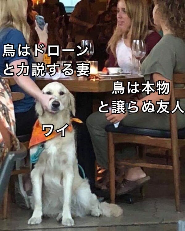 鳥　アメリカ　陰謀論　ドローン　BirdsArentReal