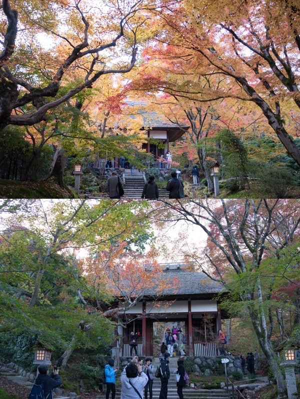 今年2015の京都の紅葉はガッカリに関連した画像-05