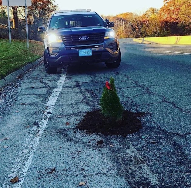 アメリカ　道路　クリスマスツリー　抗議