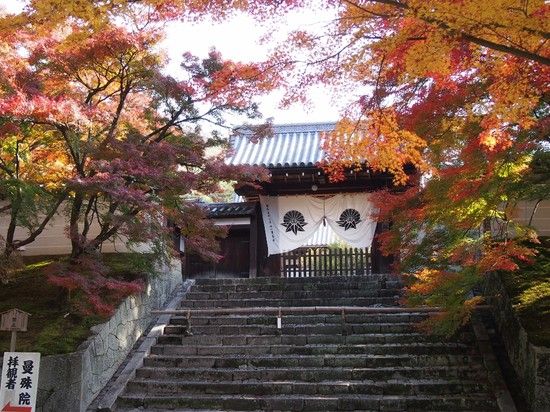 京都のお寺が次々と撮影禁止に関連した画像-09