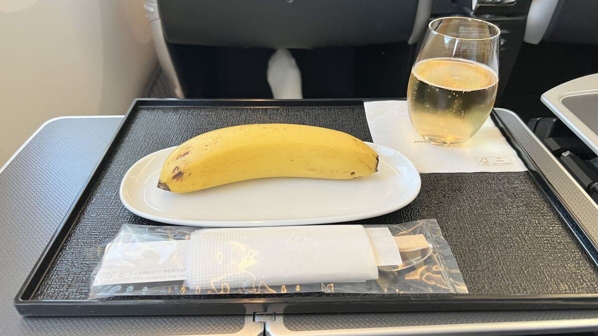 JAL　機内食　ヴィーガン