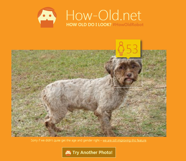 How-Old.netに関連した画像-12