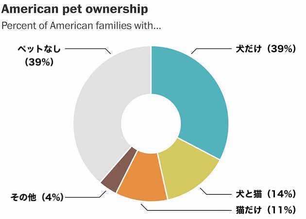 ネコと犬に関連した画像-02