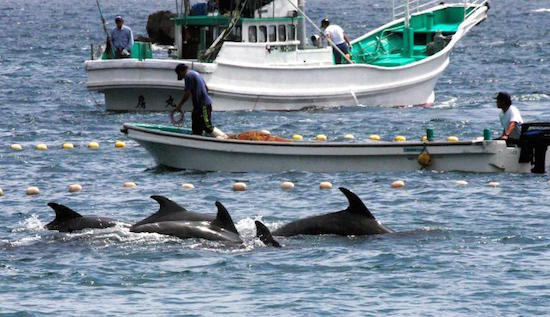 岩手県沿岸に津波注意報に関連した画像-03