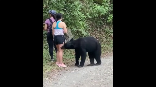 メキシコ　クマ　女性に関連した画像-04