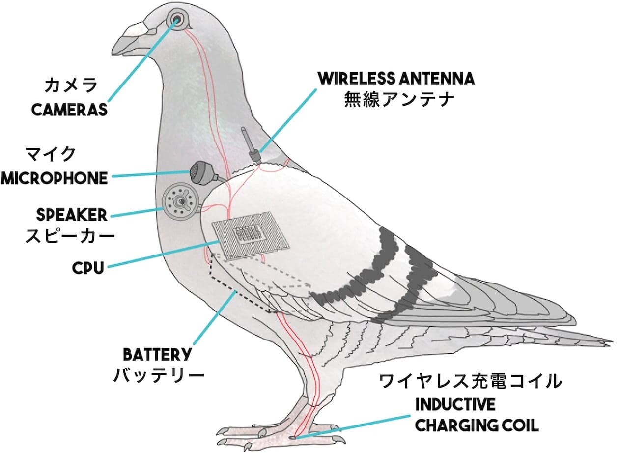 鳥　アメリカ　陰謀論　ドローン　BirdsArentReal