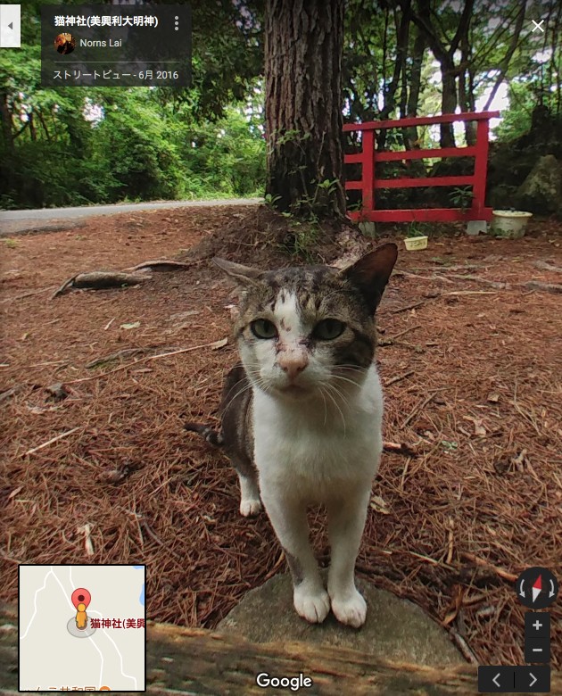 猫神社（美興利大明神）に関連した画像-05