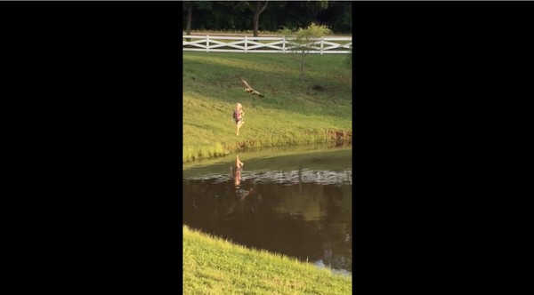 カモの猛攻から必死に逃げる愛娘に関連した画像-05