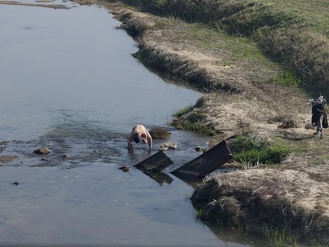 絶対に見てはいけない北朝鮮の実態に関連した画像-05