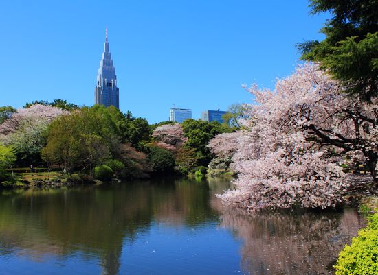 最も住みやすい都市に関連した画像-03