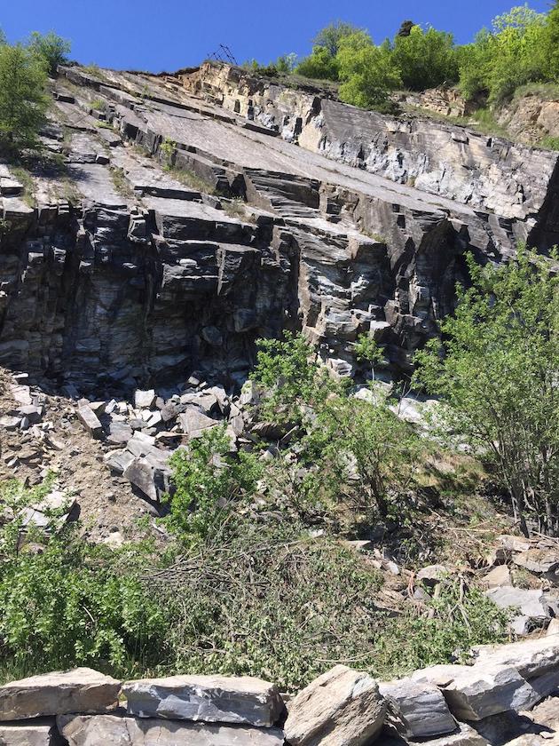 スイスで大量の牛が謎の集団自殺に関連した画像-03