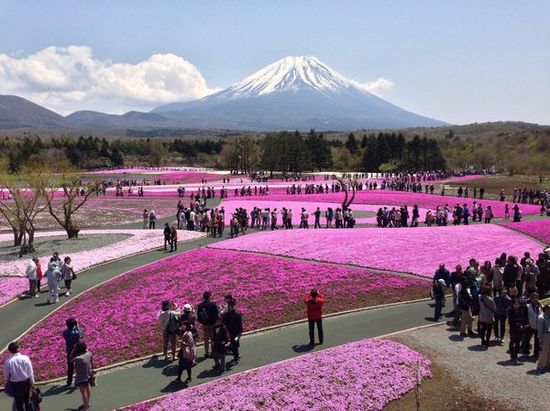 美しい日本に関連した画像-06