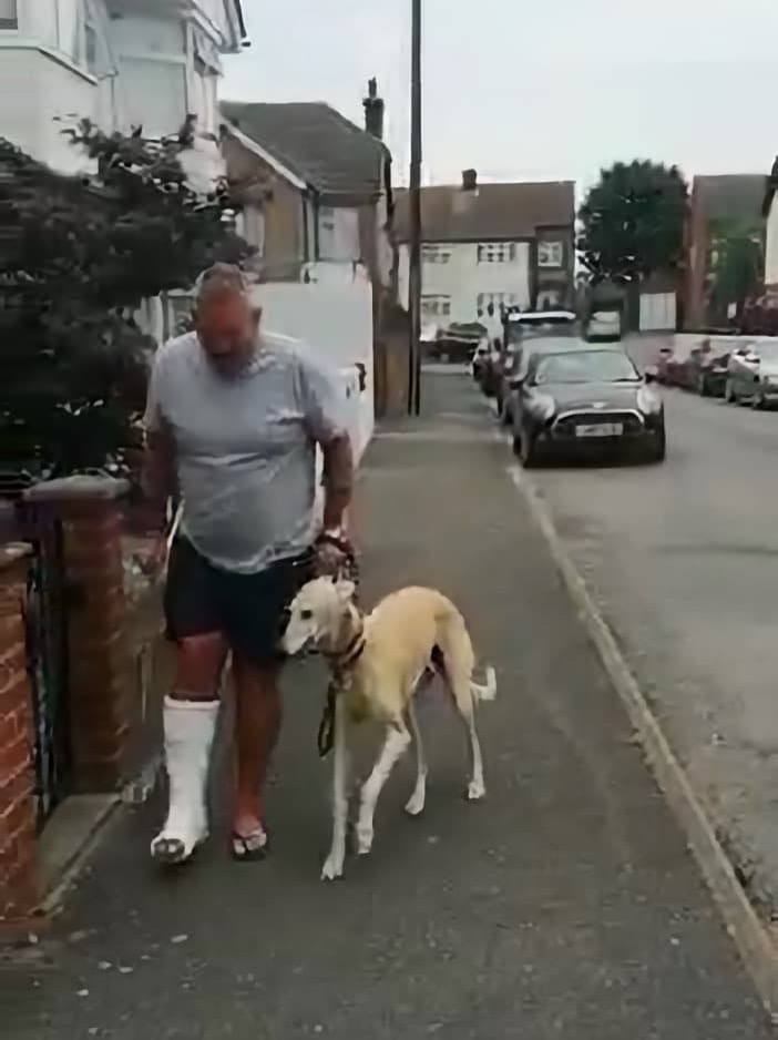 犬　自動的模倣　イギリス