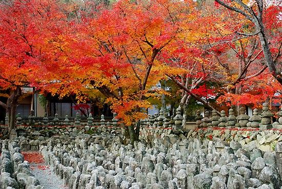 京都のお寺が次々と撮影禁止に関連した画像-12