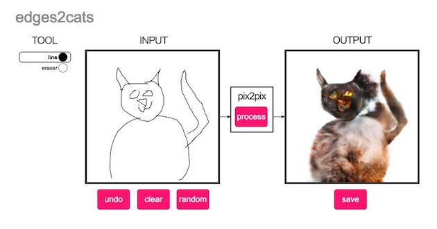 edges2catsに関連した画像-14