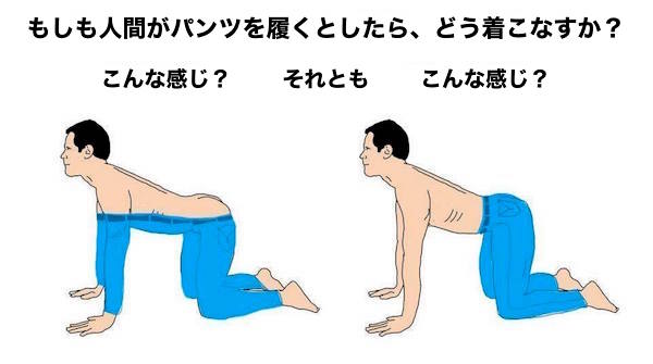 犬はどのようにパンツを履くか？に関連した画像-06