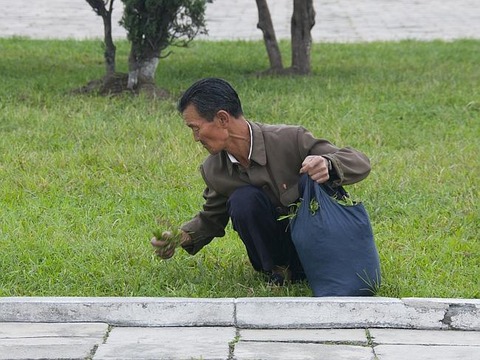 絶対に見てはいけない北朝鮮の実態に関連した画像-24