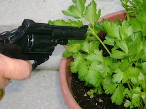 国際パクチー嫌悪の日（International I Hate Coriander Day）に関連した画像-03