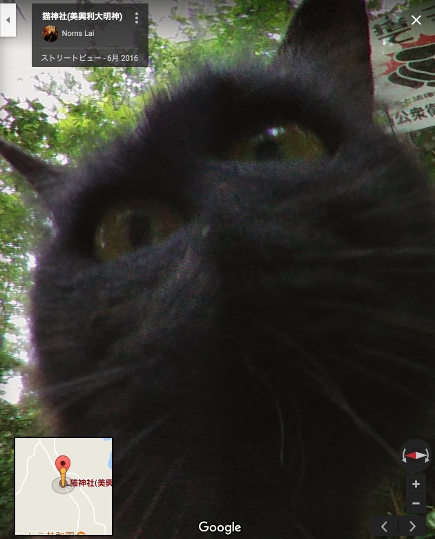 猫神社（美興利大明神）に関連した画像-07