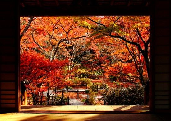 京都のお寺が次々と撮影禁止に関連した画像-10