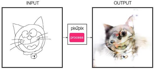 edges2catsに関連した画像-16