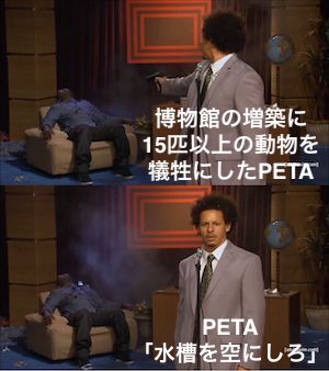 PETA あつまれどうぶつの森 フータに関連した画像-07