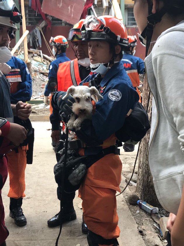 メキシコ地震に関連した画像-04