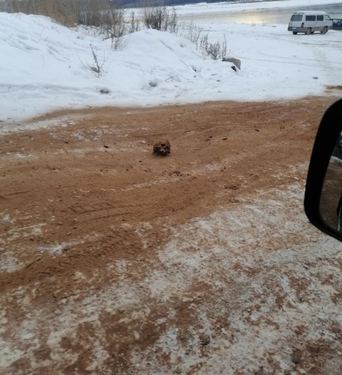 ロシア　人骨　骨の道　滑り止め