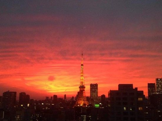 2014年最も記憶に残る、日本発のツイッター画像に関連した画像-28