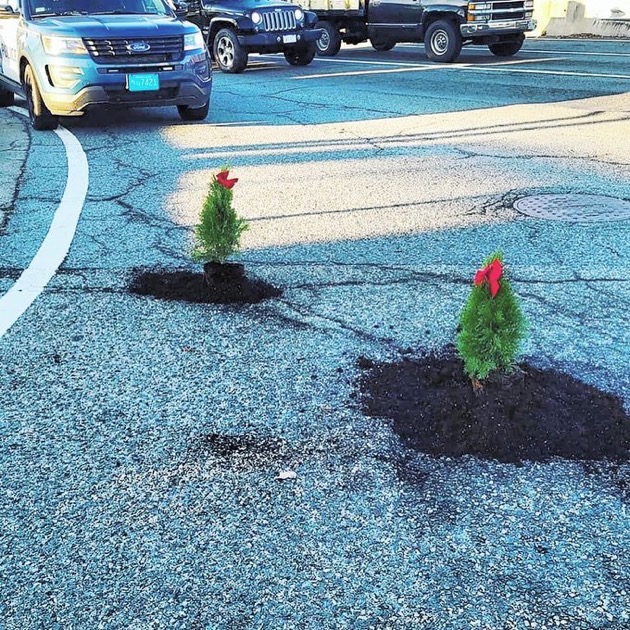 アメリカ　道路　クリスマスツリー　抗議