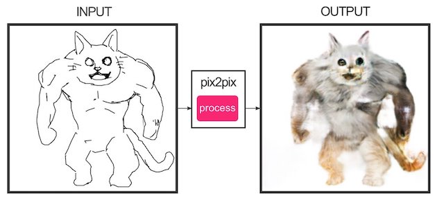 edges2catsに関連した画像-12