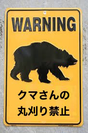 ISIS戦闘員は空爆を避けるためクマさんを丸刈りにしているに関連した画像-02