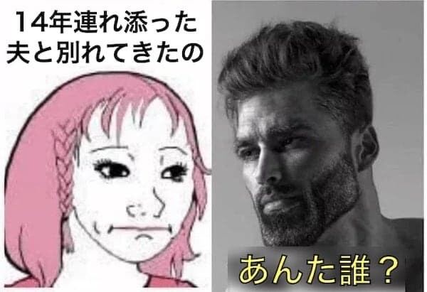 オーストラリア　離婚　アマンダ・トレンフィールド　ソウルメイト