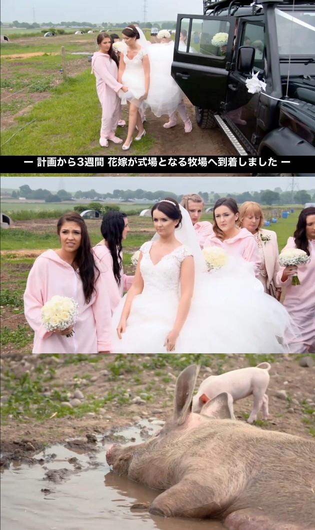 Don’t Tell the Brideに関連した画像-06