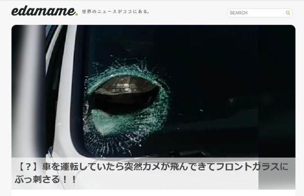 車　運転　フロントガラス　カメに関連した画像-02