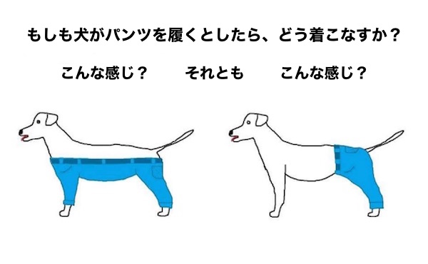 犬はどのようにパンツを履くか？に関連した画像-02